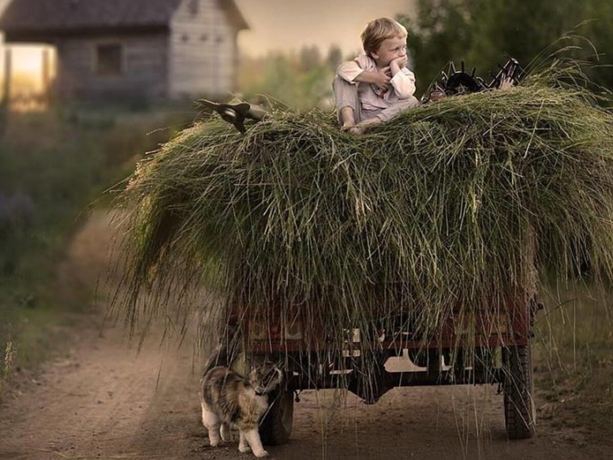 Деревенский замечать