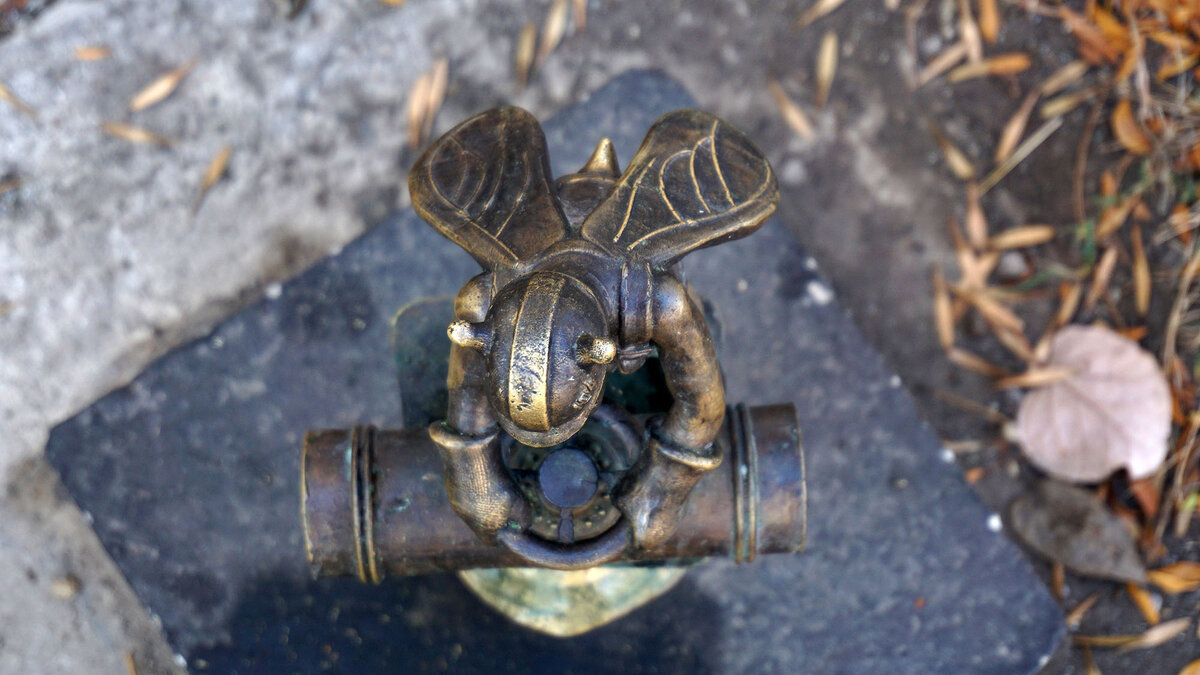 Скажете, непохожи? Смотрите сами: крылышки, рожки-усики – все на месте!