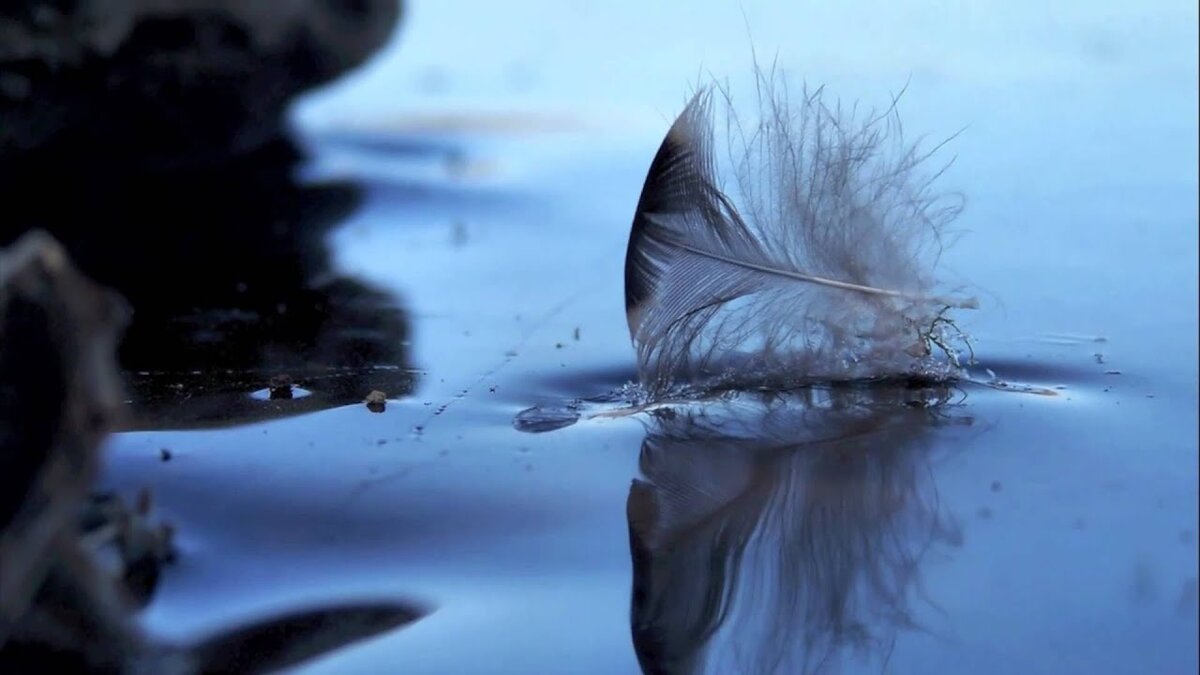 Трепетное касание...