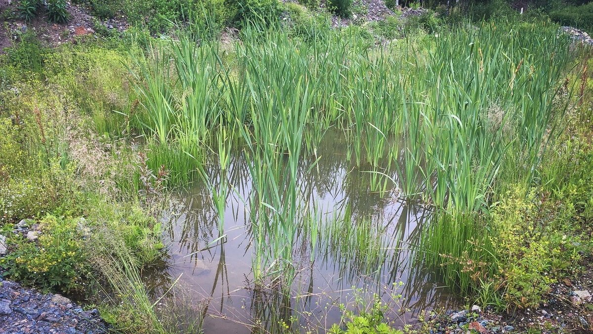     На всех реках Приморья наблюдается спад воды. Большая часть дорог в крае уже освободилась от водных преград.