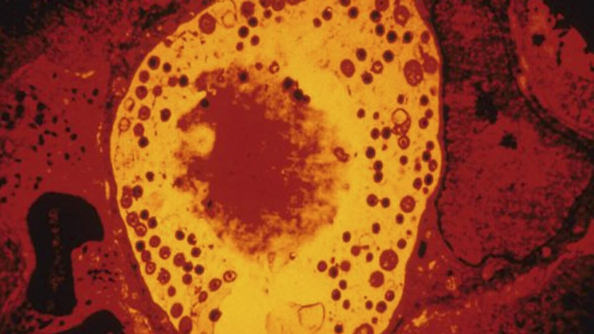    Фото: Global Look Press Август Макаров