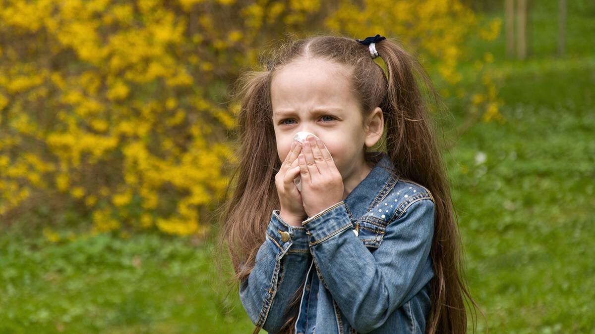    Фото: shutterstock