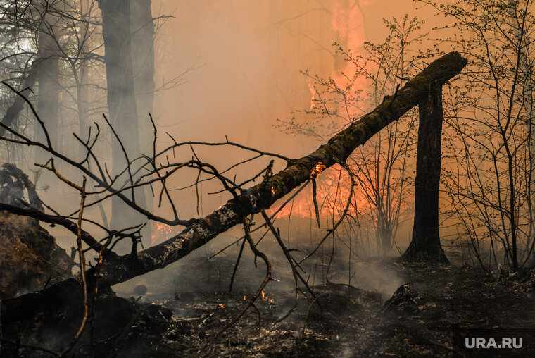    Анджей Сапегин уверен, что установить причину любого пожара легко установить
