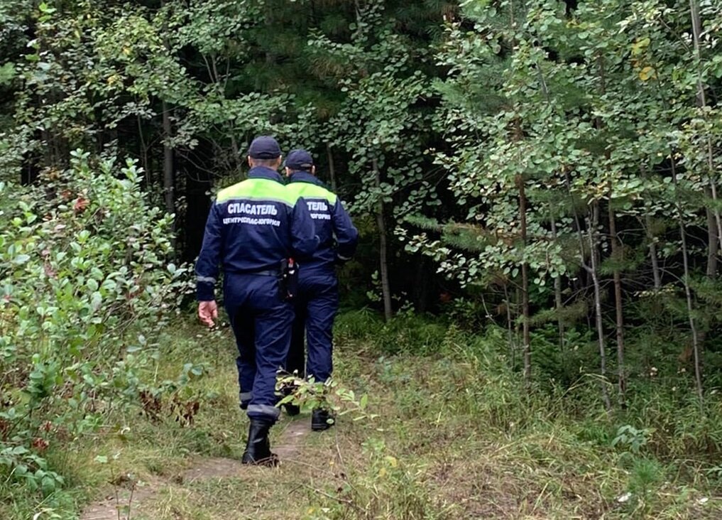   В лесу Нижневартовского района пропали двое мужчин