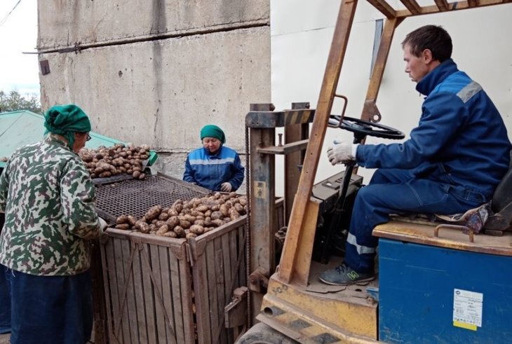    В культурах борщевого набора не будет дефицита в Забайкальском крае