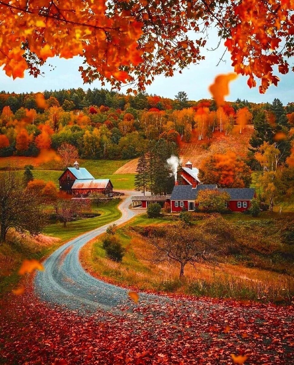 Свободный доступ, интернет. 