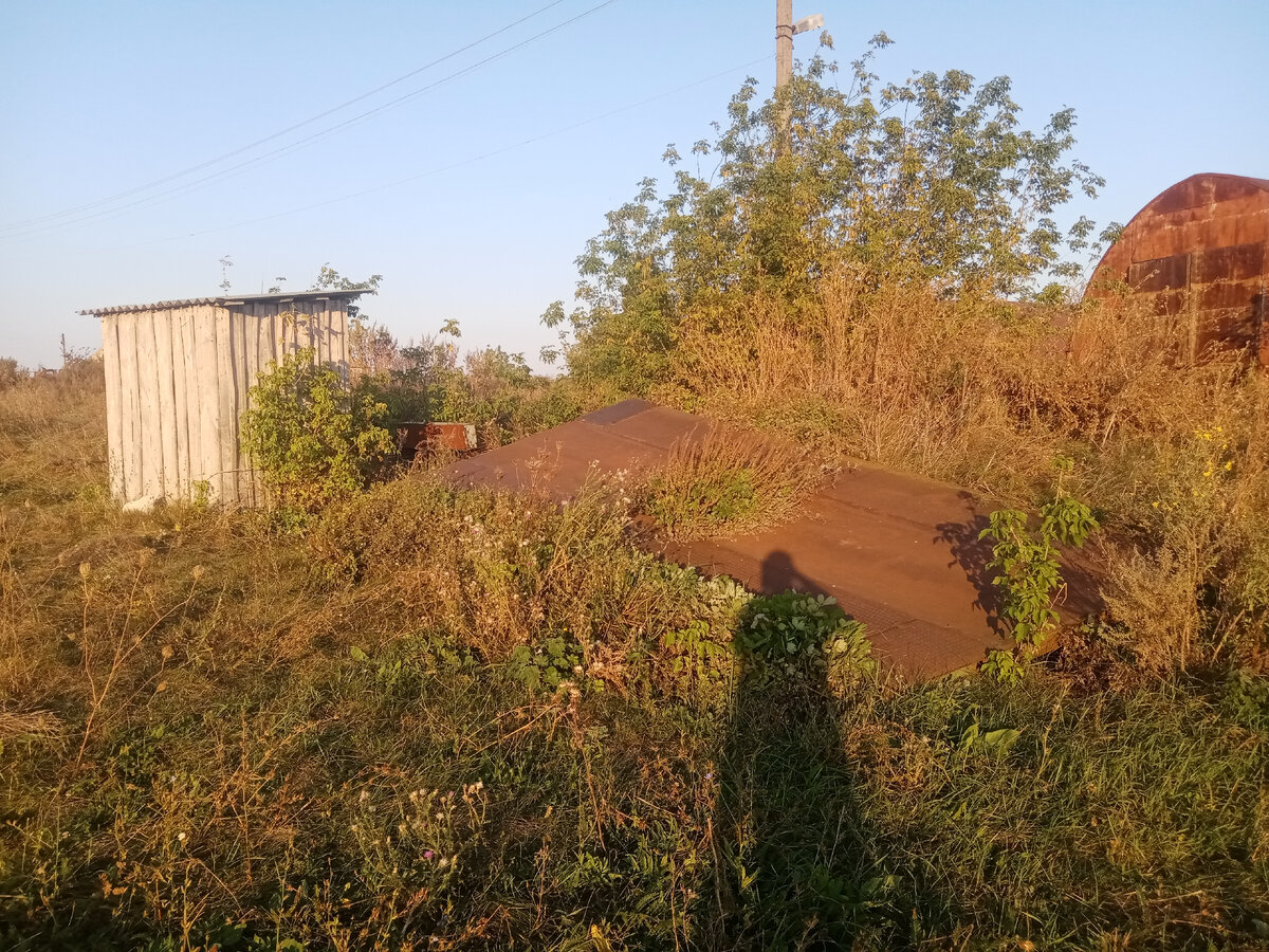 Зараза. Сходили на рыбалку | Живу по-деревенски | Дзен