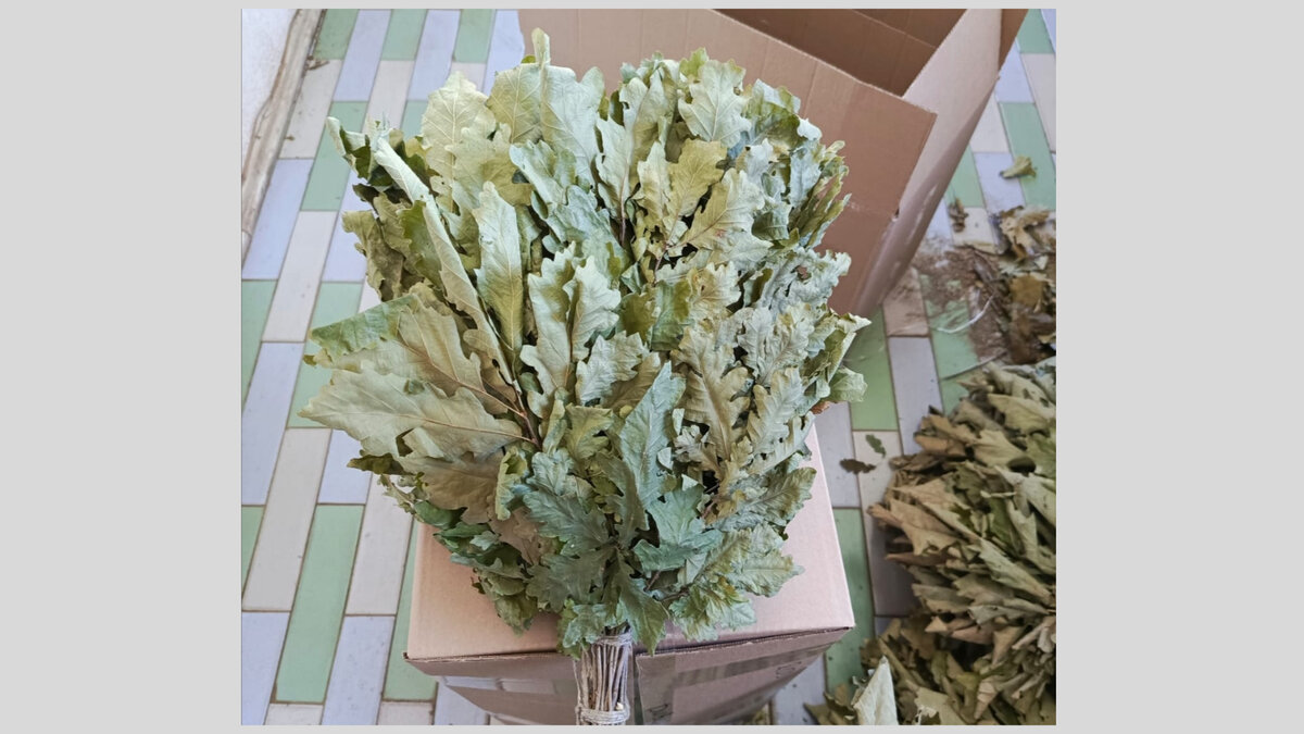     Из Удмуртии в Объединенные Арабские Эмираты при помощи Почты России отправили первую партию продукции по госпрограмме субсидирования — веники. Об этом сообщила пресс-служба ведомства.