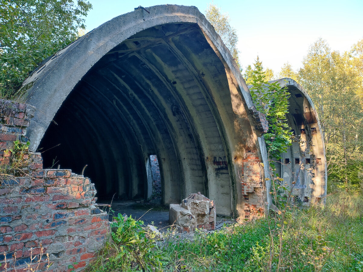 Метро в лесу