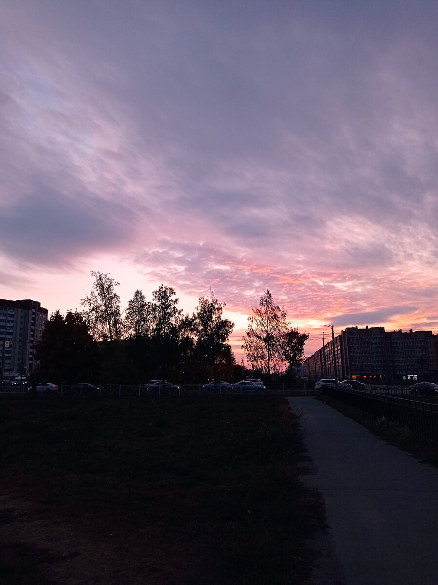 У меня сегодня оранжево-розово-лиловое небо. Фото личное