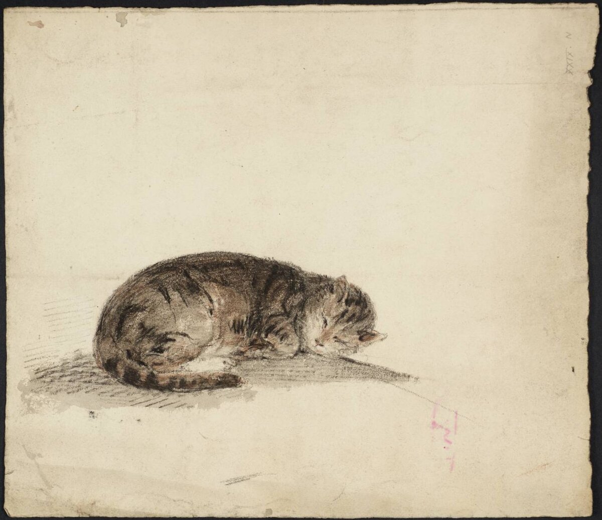 Уильям Тёрнер. Набросок спящей кошки, 1797. Галерея Тейт, Лондон