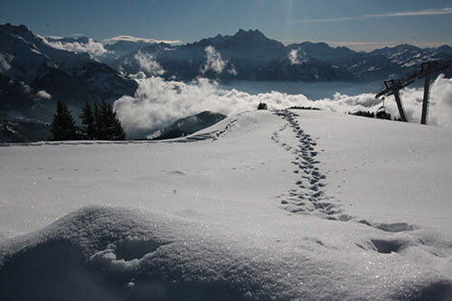 Фото: Алина Трофимова