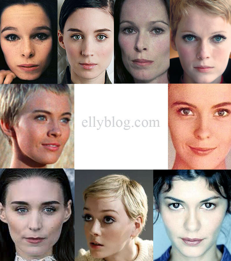 кибби, гамин