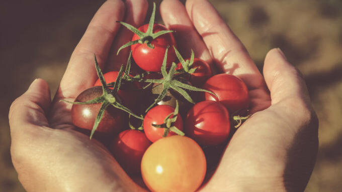  Photo by Jametlene Reskp on Unsplash