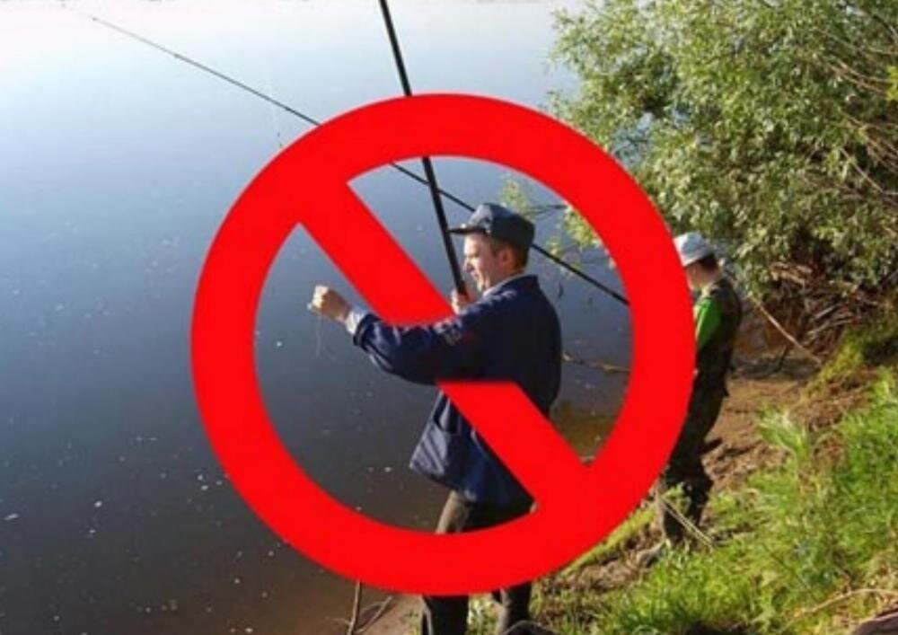 Когда запрещено ловить щуку. Запрет на рыбалку. Ловля рыбы запрещена. Лов рыбы запрещен табличка. Ограничения на рыбную ловлю.