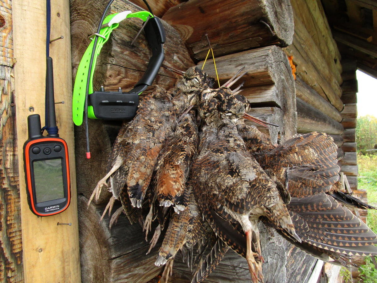 АВТОР СТАТЬИ: АЛЕКСЕЙ ПОПОВ