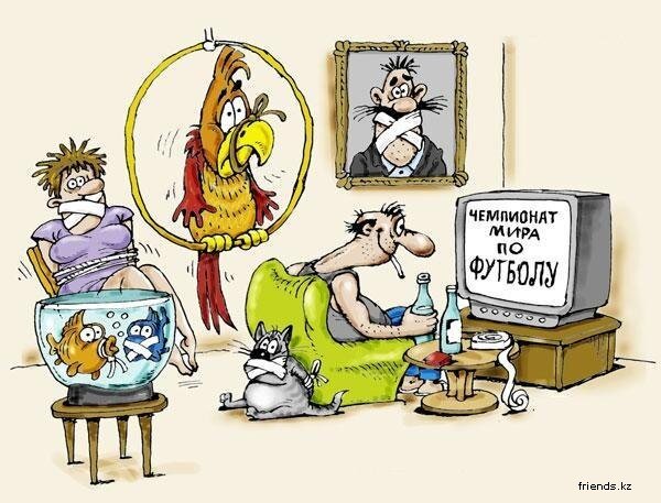 Картинка из сети