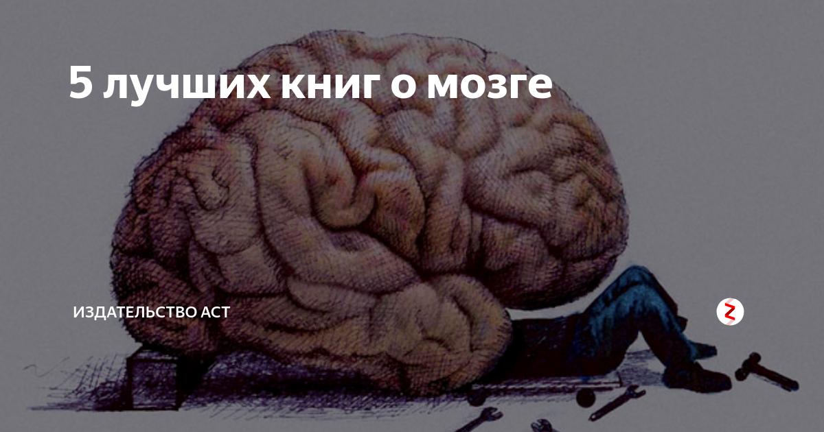 5 лучших книг о мозге | Книги. Издательство АСТ | Дзен