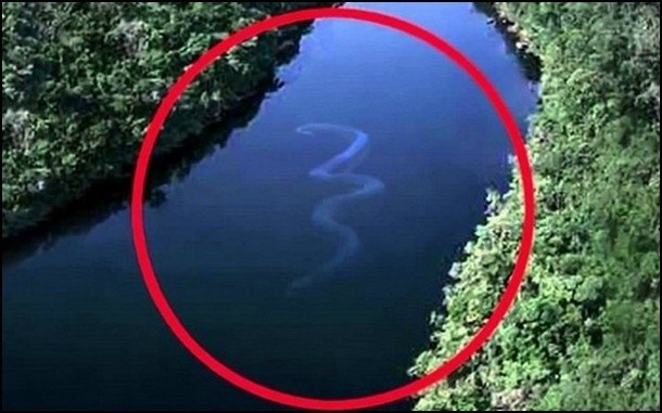 Дело было почти 10 лет назад, был 2009 год. С воздуха было заснято нечно, похожее на огромнейшую змею длиной около 30 метров! Оно плыло вдоль по реке. Действие происходило в Индонезии, Борнео.