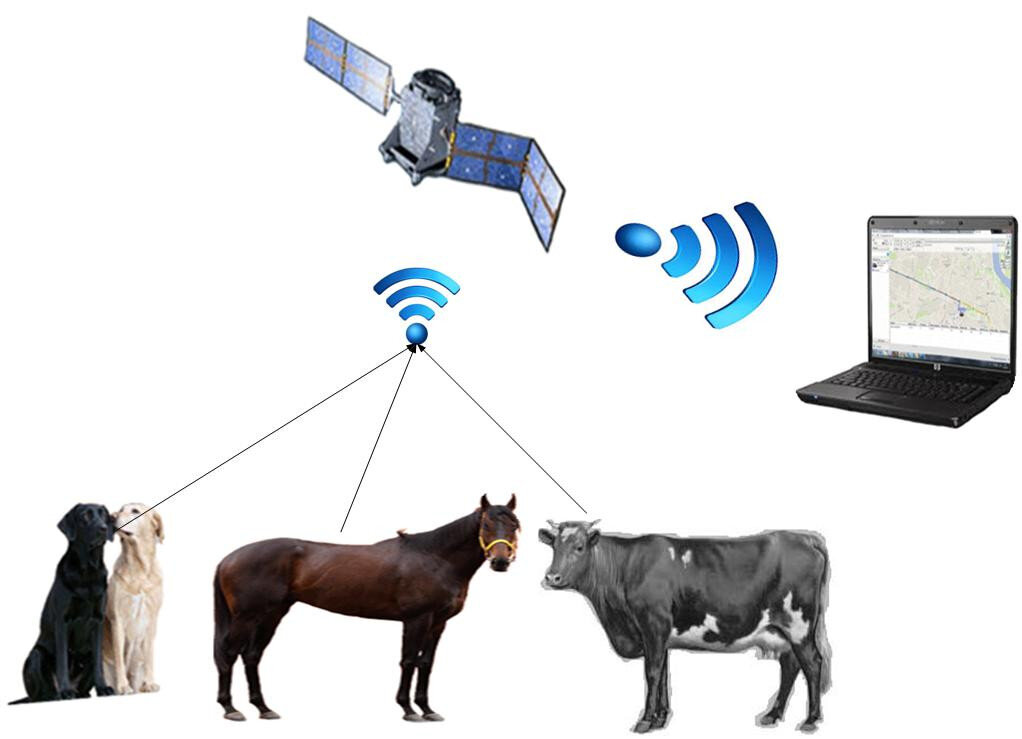 Система мониторинга животных. Закон о защите животных рф. Гос мониторинг объектов животного мира это. Rfid датчики на крс. Система мониторинга животных.