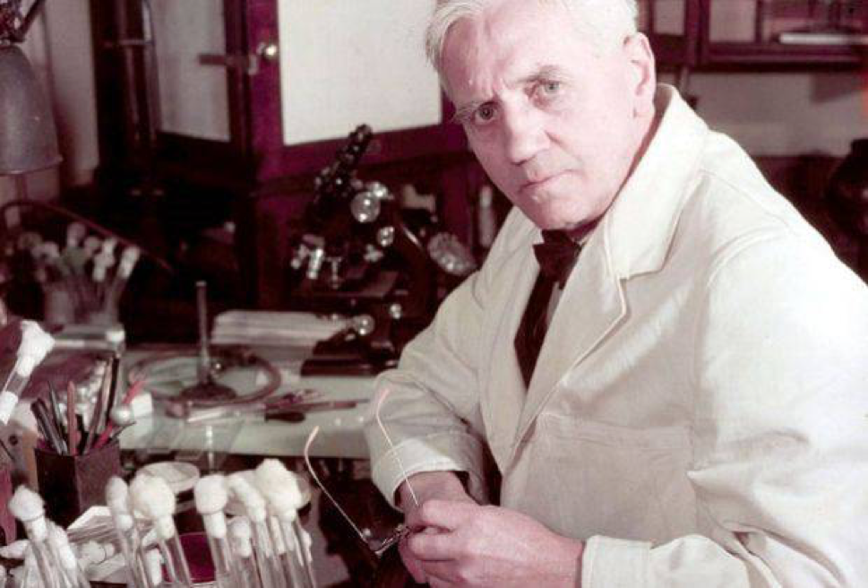 Alexander fleming discovered penicillin. Флеминг ученый биолог.