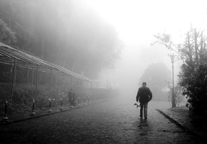 Фото: Shutterstock