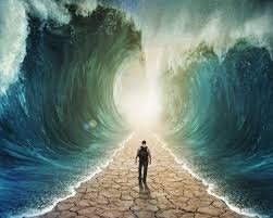  Чем мы с вами занимаемся, посещая различные тренинги, слушая лекции, медитируя – самопознанием, согласитесь. Получая новую информацию о Вселенной, о ее законах, мы как это ни странно, хотим познать сами себя. Мы интуитивно чувствуем, что именно там (в себе) находятся все ответы. «Все ответы находятся в тебе. Ты знаешь больше, чем написано в книгах. Но чтобы вспомнить это – нужно читать книги, смотреть в себя, слушать себя и доверять себе» - Лев Толстой.