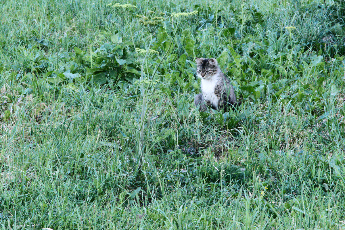 Фотограф Полина Куракова