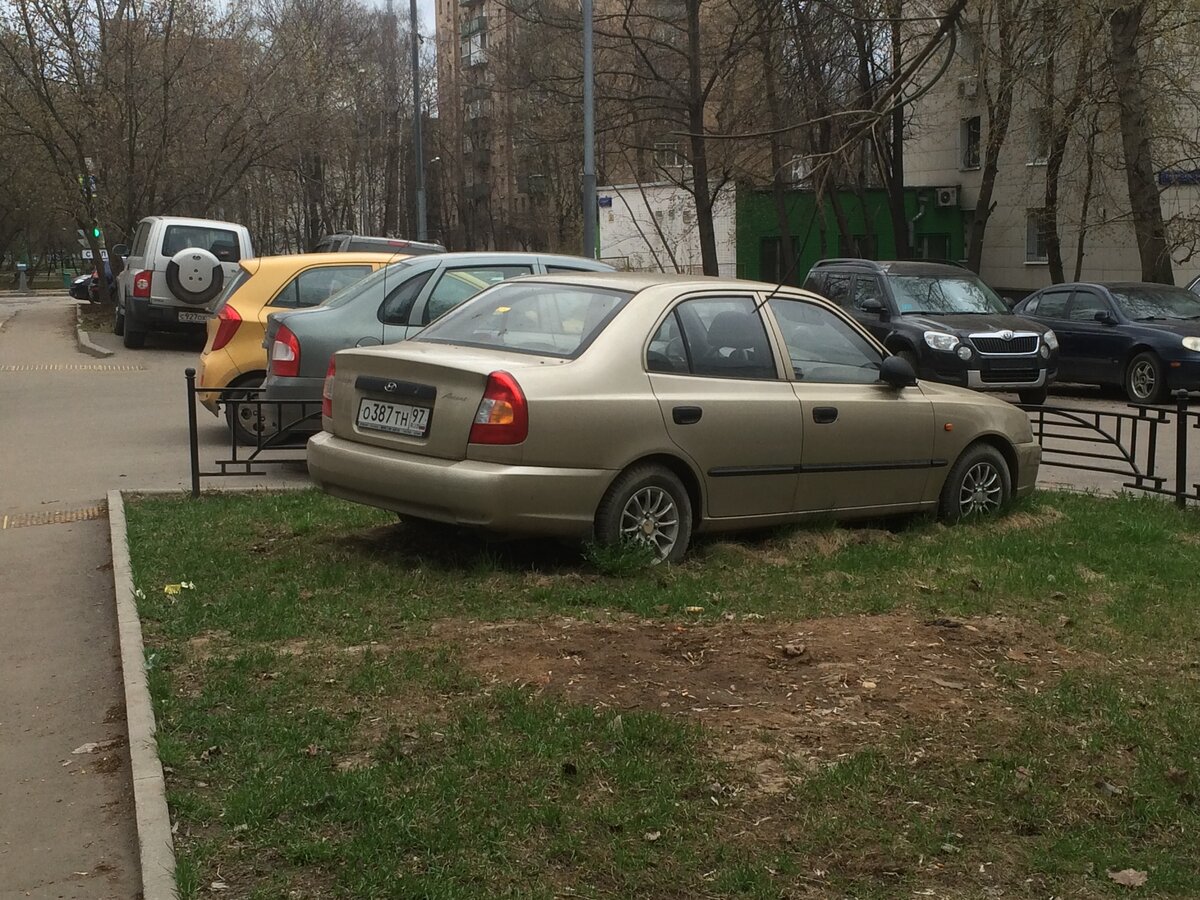 Фото ТриБолта