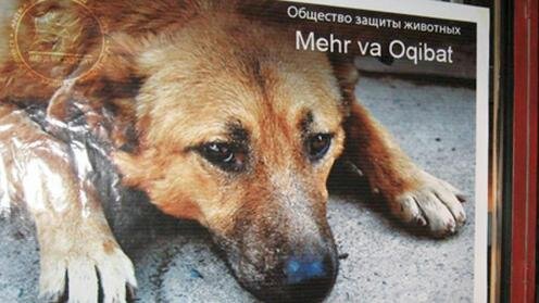 Плакат Mehr va Oqibat. Фото с сайта Budka.uz