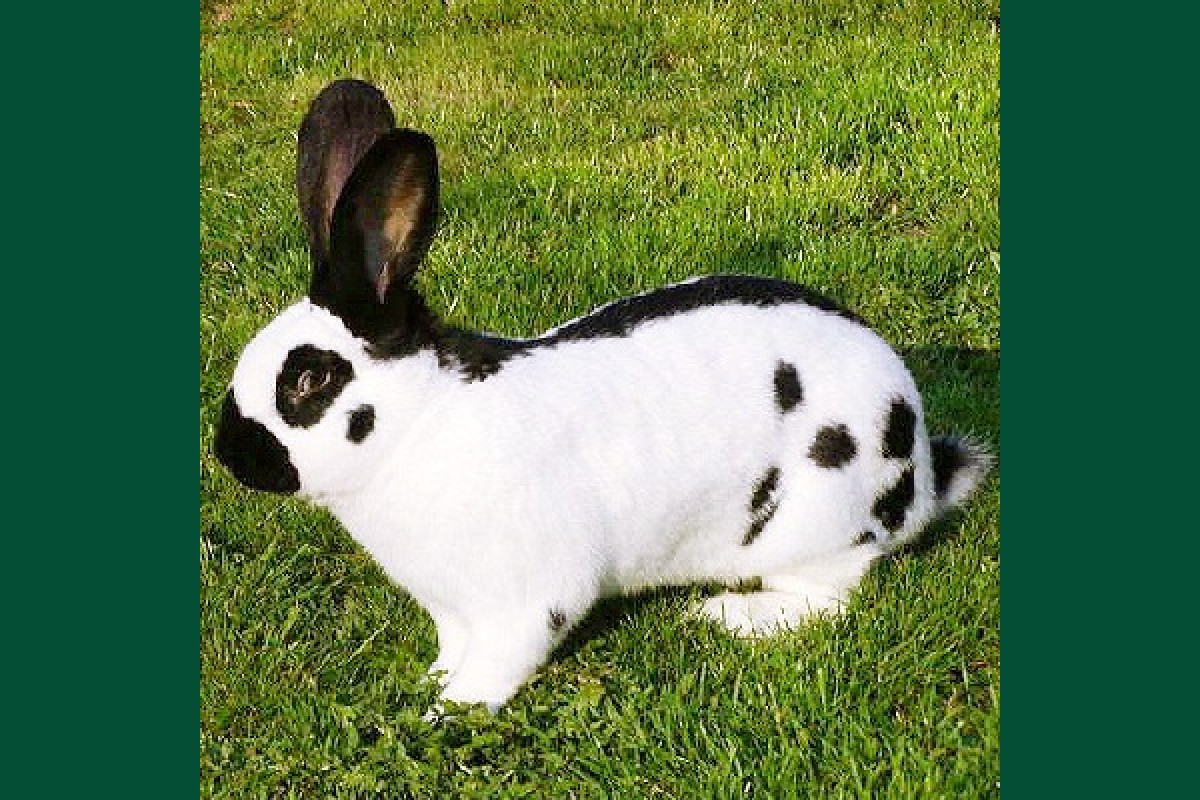 Фото из интернета