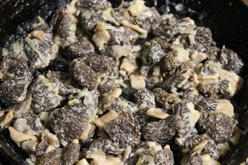 Строчки жареные. Как вкусно приготовить сморчки грибы с картошкой. Сморчки приготовленные. Сморчки грибы блюда. Грибы сморчки жареные.