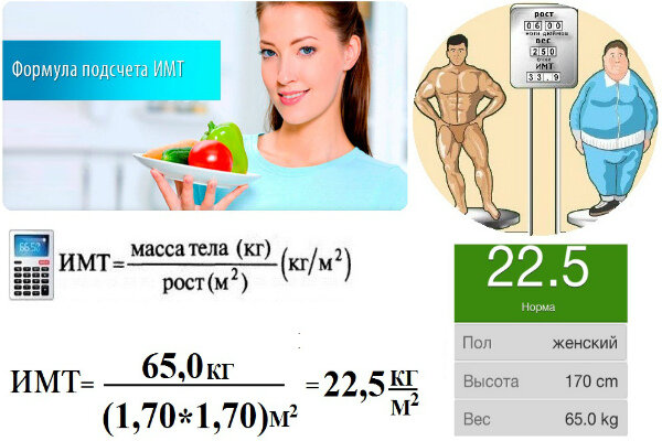 Источник: https://yandex.ru/images