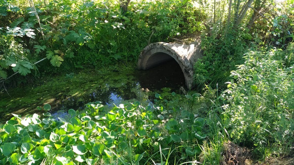 Речка Сумерь близ истока. Больше похожа на дренажную канаву