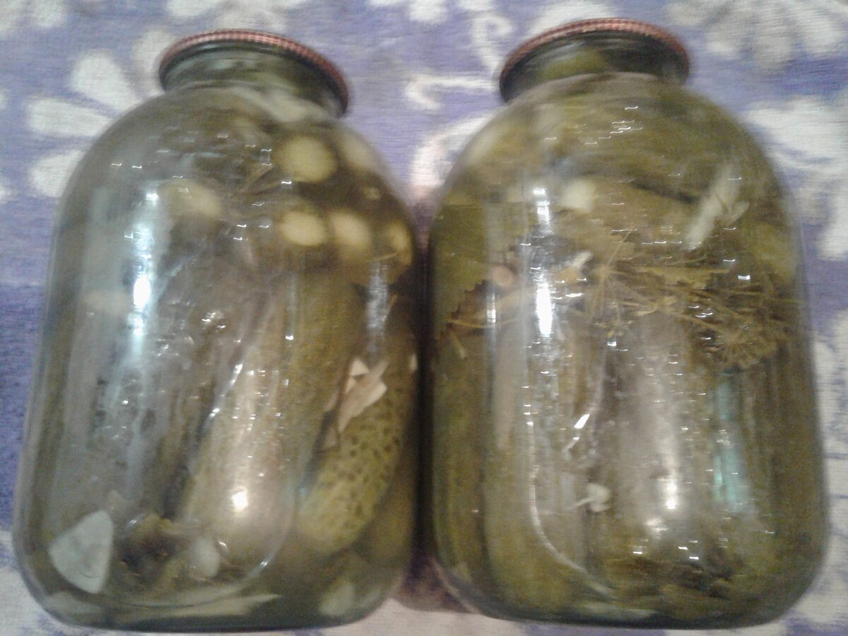 Обалденно вкусные огурчики без уксуса