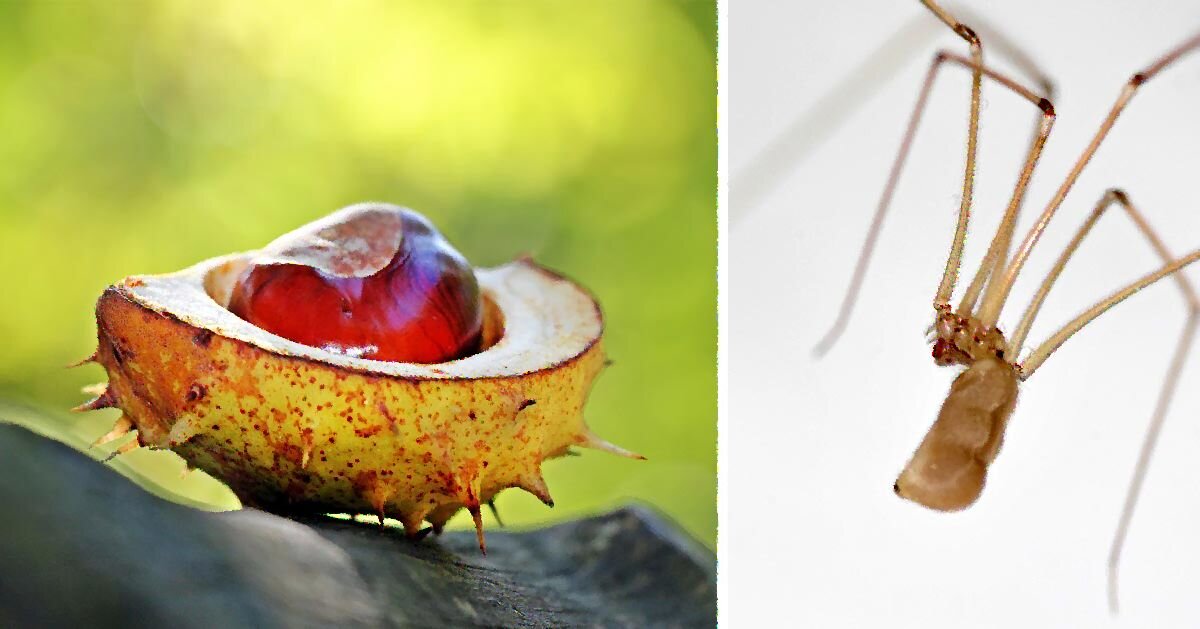 Подписывайся и ставь лайк!