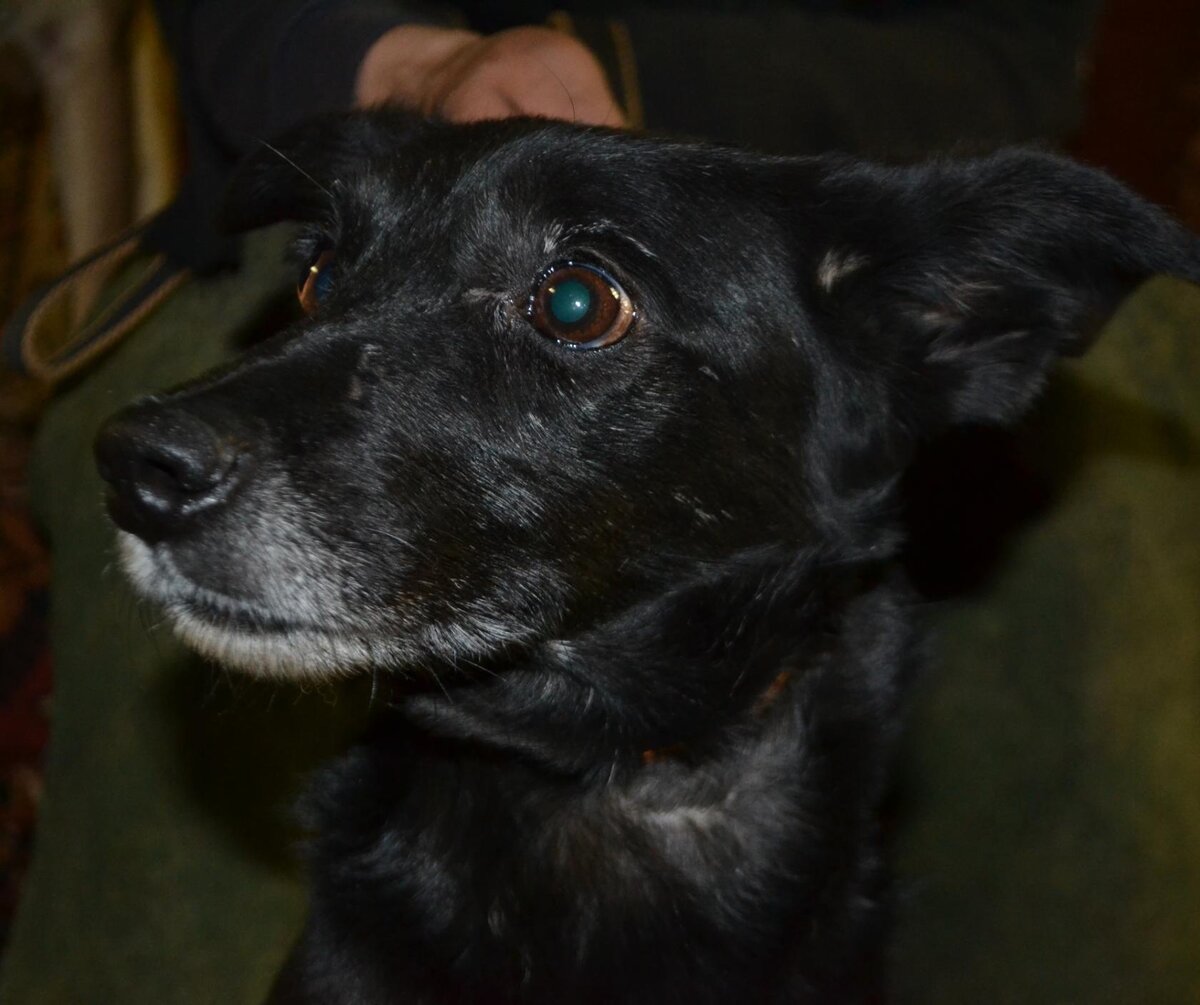 Рада, смешной глазастик