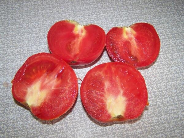 Белые прожилки у томатов