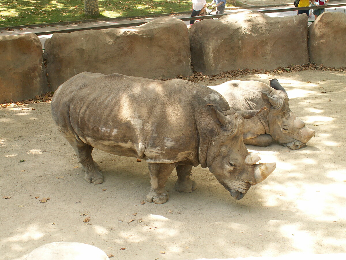 В зоопарке. Фото автора.