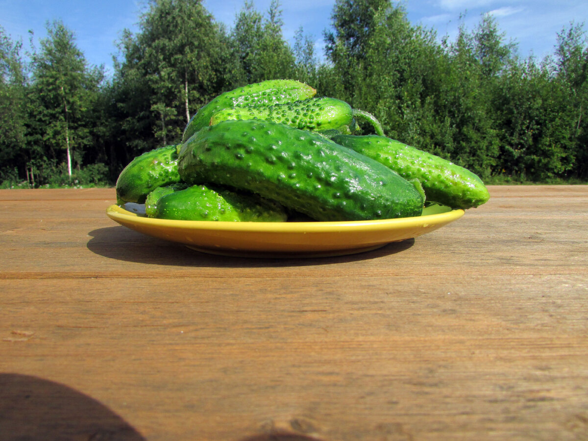 Фото Самогон Саныча