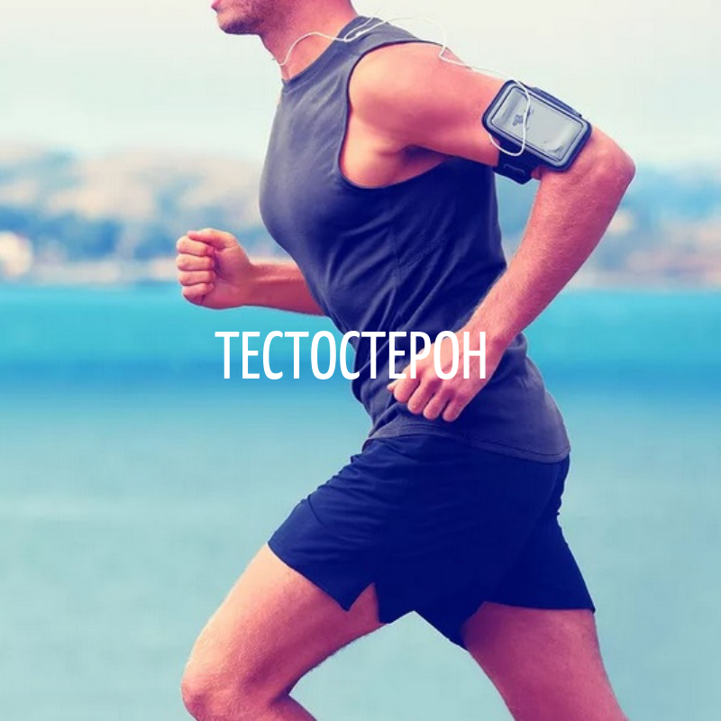 Фото из Яндекс.Картинки