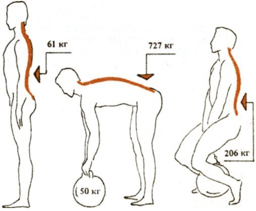 Осевая нагрузка на позвоночник в тренажерном зале