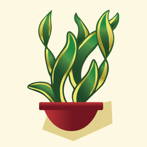 Фото взято с сайта https://www.flyingflowers.co.uk/