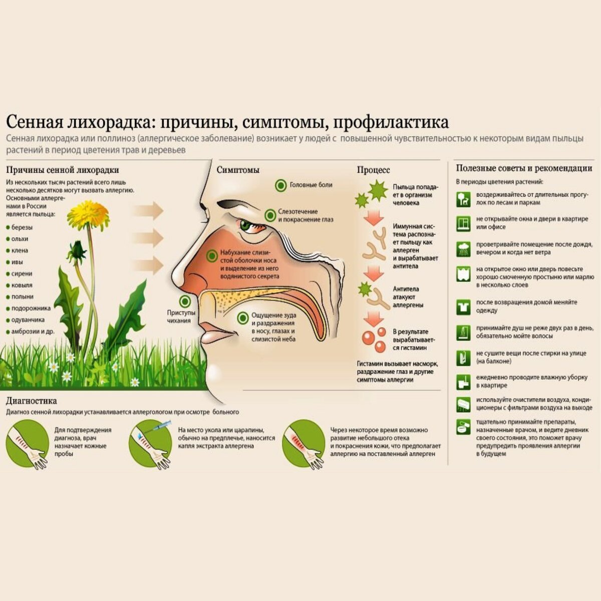 Поллиноз карта цветения москва