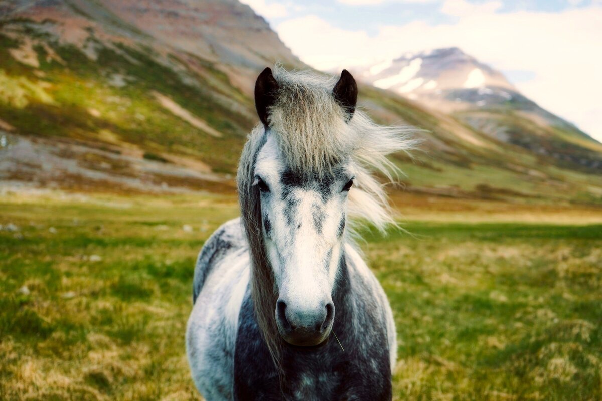 https://www.pexels.com/ru-ru/photo/459124/