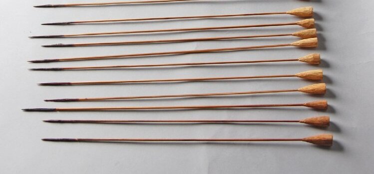 Отравленные дротики - ок. 28 см в длину каждый. Из Британского музея в Лондоне