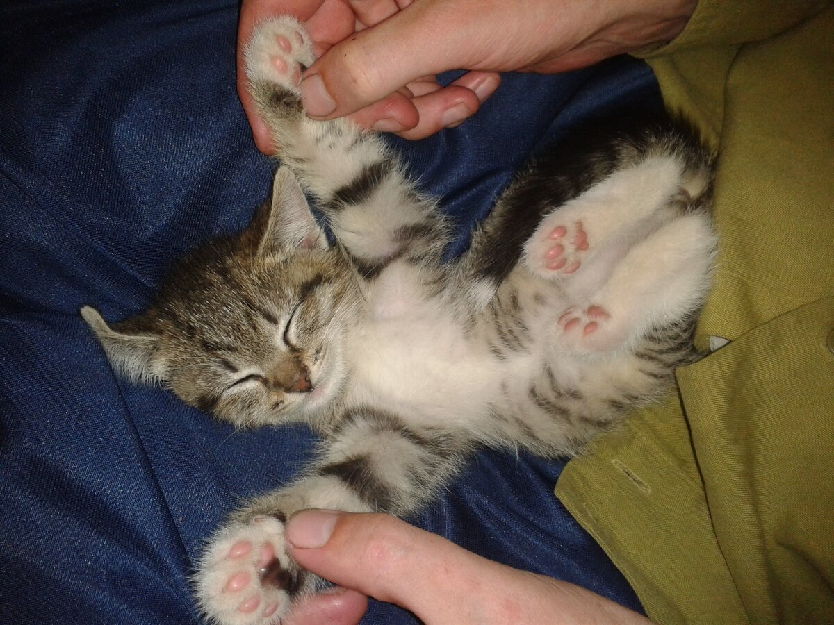 Фото автора 