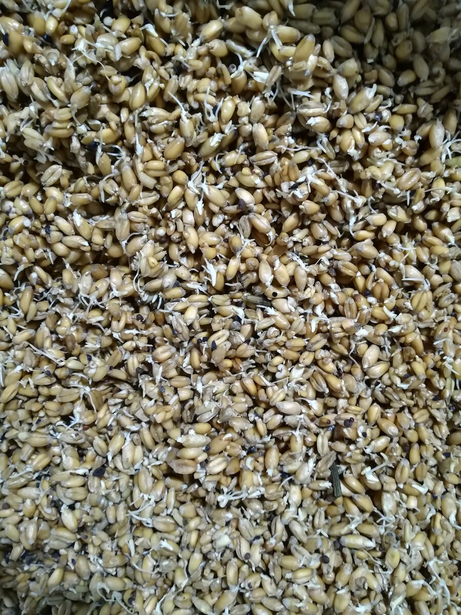 Источник: Автор