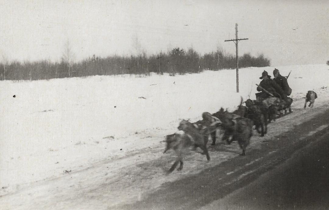 Участники пробега с собаками 1936 года ( фото из архива)