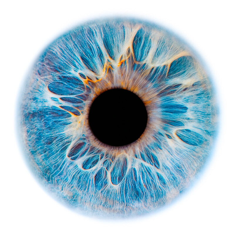 Яндекс.Картинки